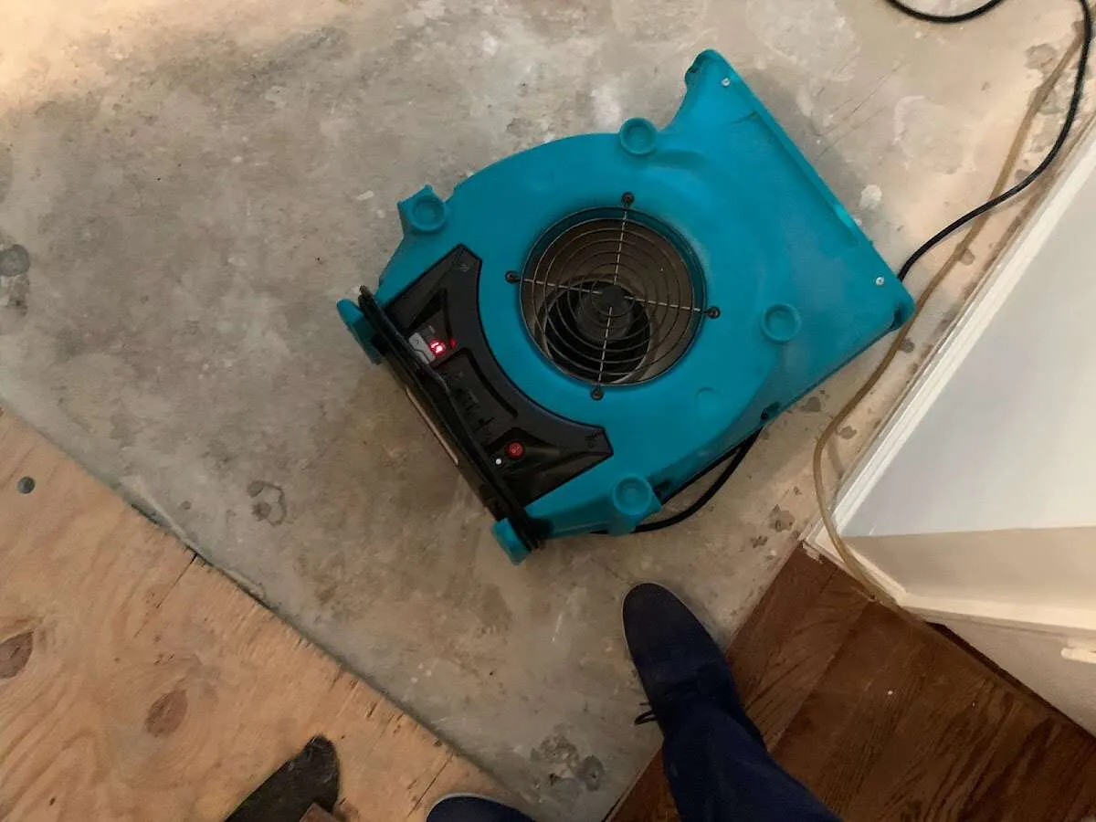 Air mover drying subfloor during Commercial Water Damage Restoration in Blakely